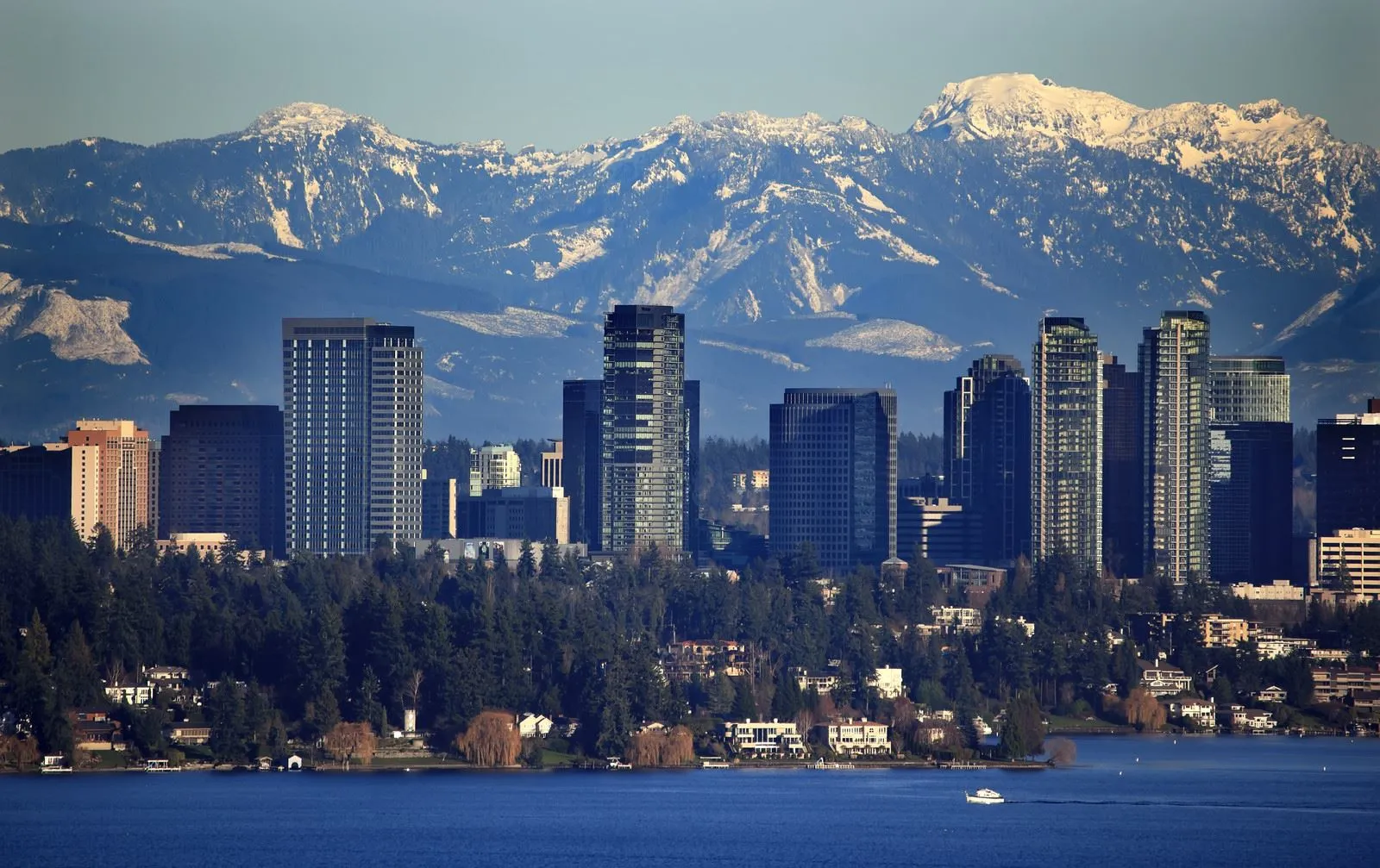Fast, simple, and stress-free moves for families and businesses in Bellevue, WA